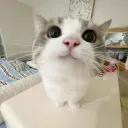 mrbug12