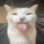 daaango