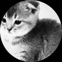 avatar BehBaeBoiAndre