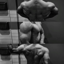 avatar !𝓩 Ｇｏｌｕ𓆙🚩