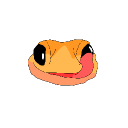 loving_engelbart478492 member profile picture