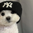 avatar !            𝗞𝗥𝗜𝗦𝗛