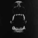 wolfherra avatar