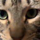 x_nemo_x3 member profile picture
