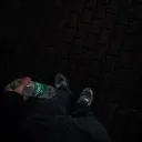 turtlexee