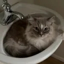 monochromelens