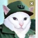 4ax44