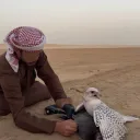 _qjw