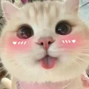 luciaji