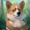 dukecorgi