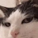 else_peak
