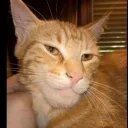 vinny072