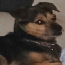 lobodda