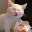 bunnyboo2213