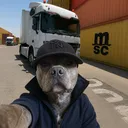 facuinsano