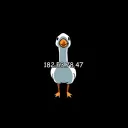 duckyvr4