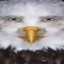 iosonojules