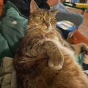 avatar Redhaired_Shanks