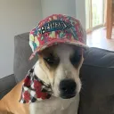 coolertimm