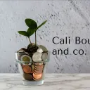 calibourse