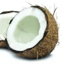 decococnute
