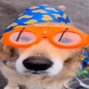 cos
