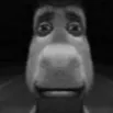 bas0r