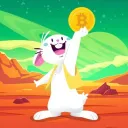 _cryptobunny
