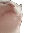noobillogg5953
