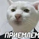pavel_6264