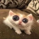 avatar herkeskendineyakışanıyapsın