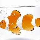 nemo_the_f1sh