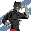 swolekat