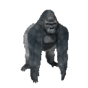 scrubbanubnub