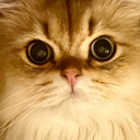 avatar 𝐋𝐢𝐬𝐛𝐞𝐫𝐭