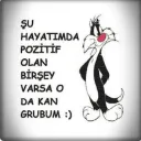 ceren_gamer431625