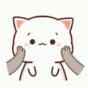 3453 avatar