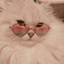 avatar 𝕶𝖆𝖉𝖞𝖒𝖊𝖊𝖊🧟