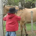 1lalo