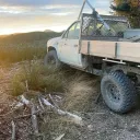 bazz1575