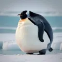 pengus0088