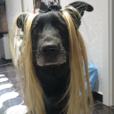 avatar Beyza