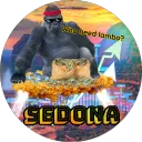 sedona1101