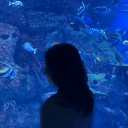 avatar via