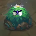 kuwo9999