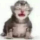 avatar King jacob big money