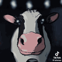 weirdlookingcowthing
