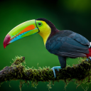 exoticx8.#4734's avatar