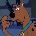 tylkoz