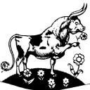 avatar boognish.girl